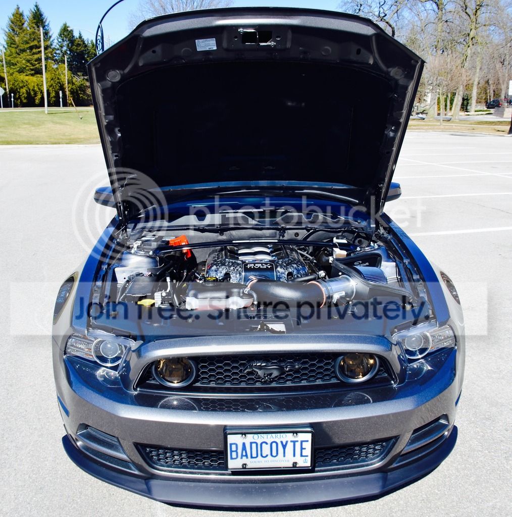 DSC_3353_zps9calcsal.jpg