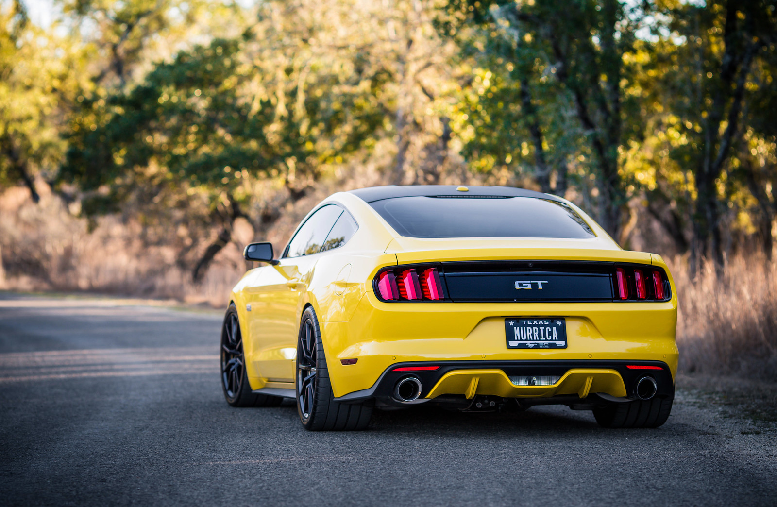 25365729825_ef6135aa10_h.jpg