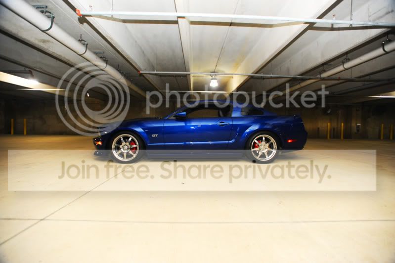 DSC_9016pb.jpg