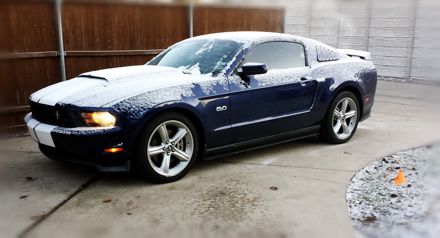 snowystang.jpeg