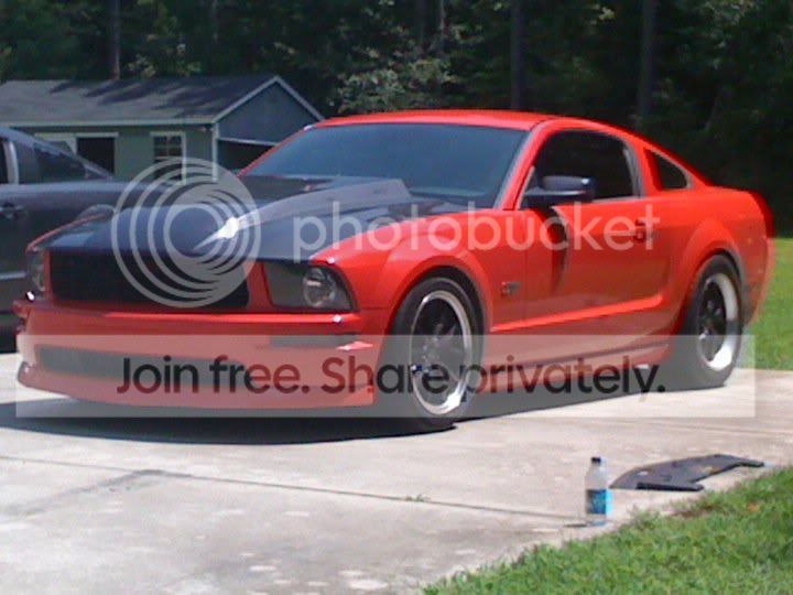 mustang-1.jpg