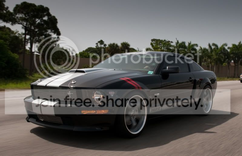 3736955041_1e28abcbf1_b.jpg