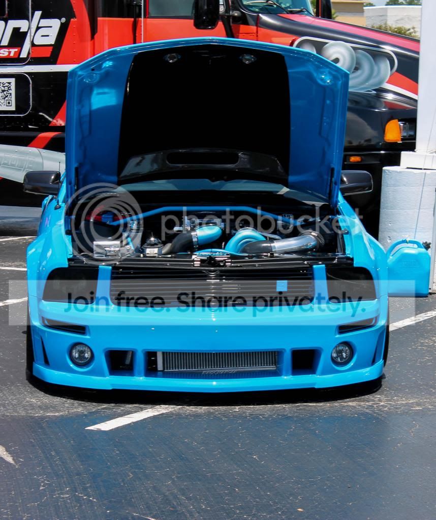 IMG_1527_zps29e4d341.jpg