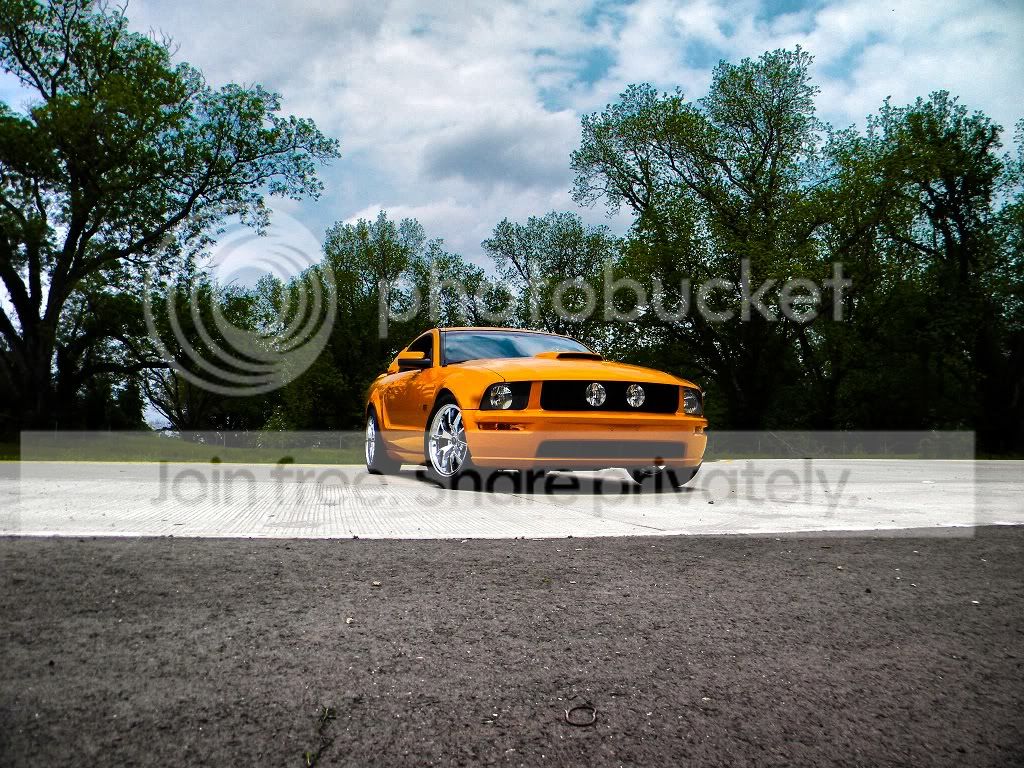 stang2011.jpg