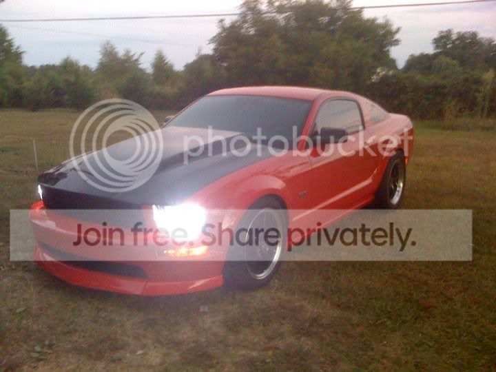 mustang1-2.jpg