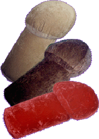 penis-pillows.gif