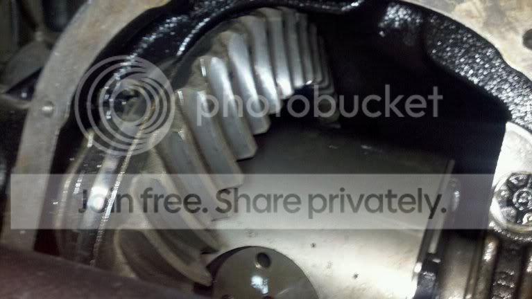 photobucket-4805-1329087622573.jpg