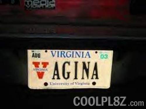 coolpl8z_va-gin-ya.jpeg