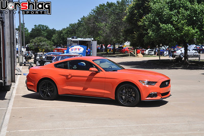 DSC_2595-S.jpg