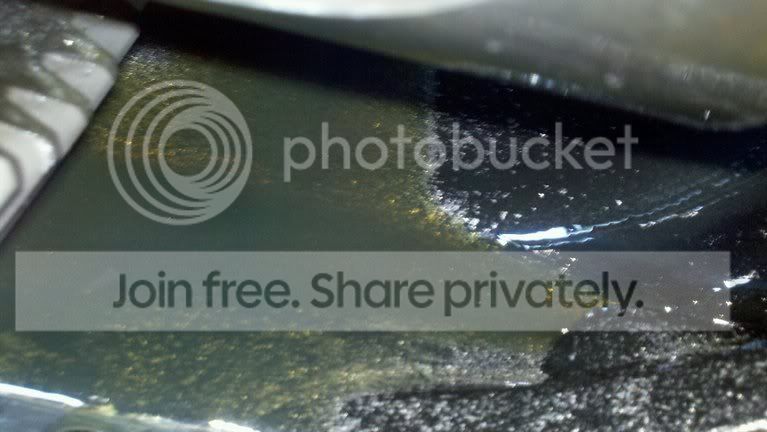 photobucket-4453-1329087573472.jpg