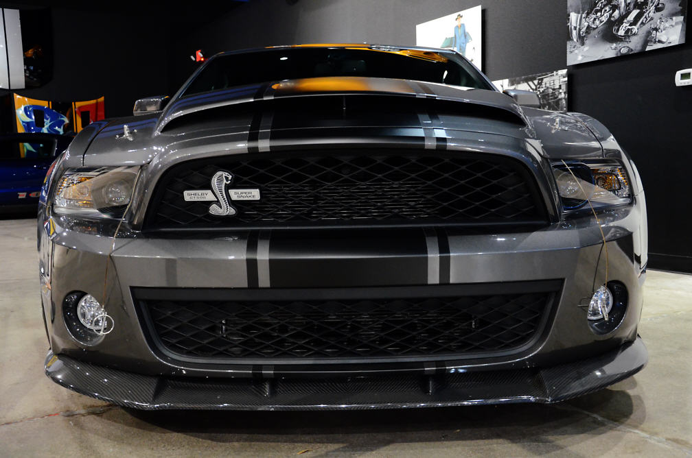shelbymuse14.jpeg