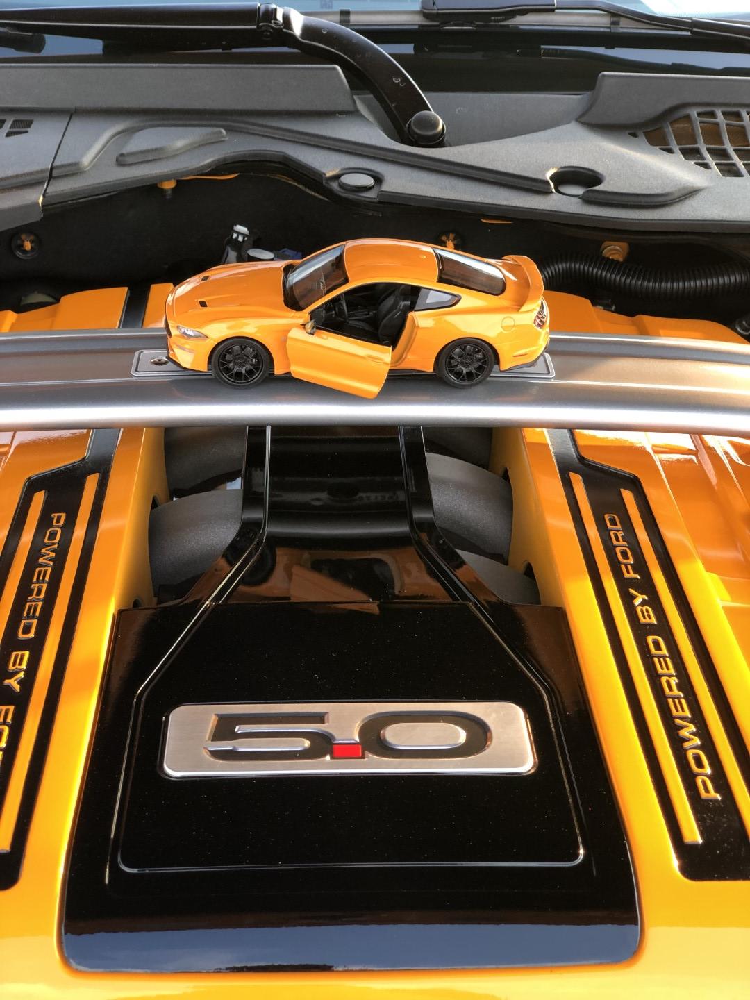 yUeGaGb.jpg