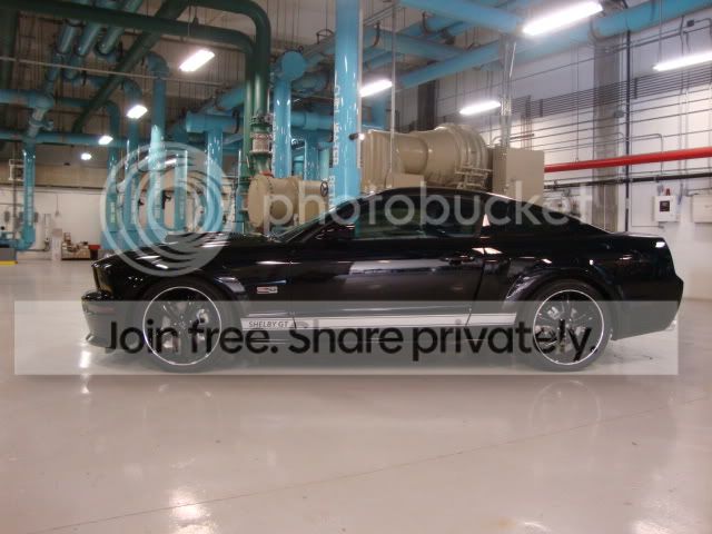 DSC01173-1.jpg