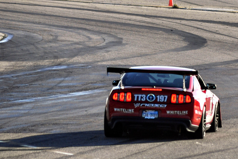 DSC_1017-L.jpg