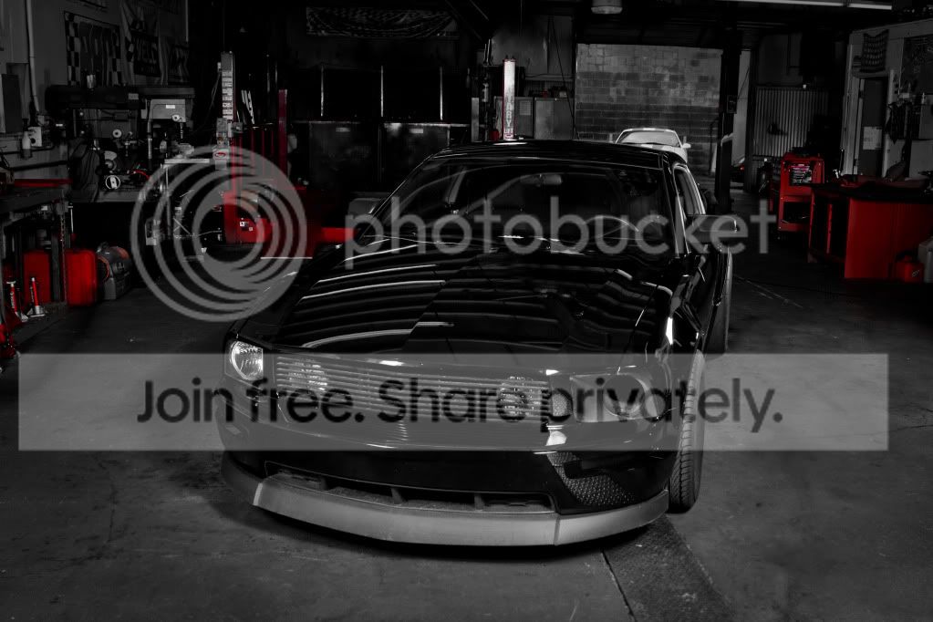 mustangcobra065.jpg