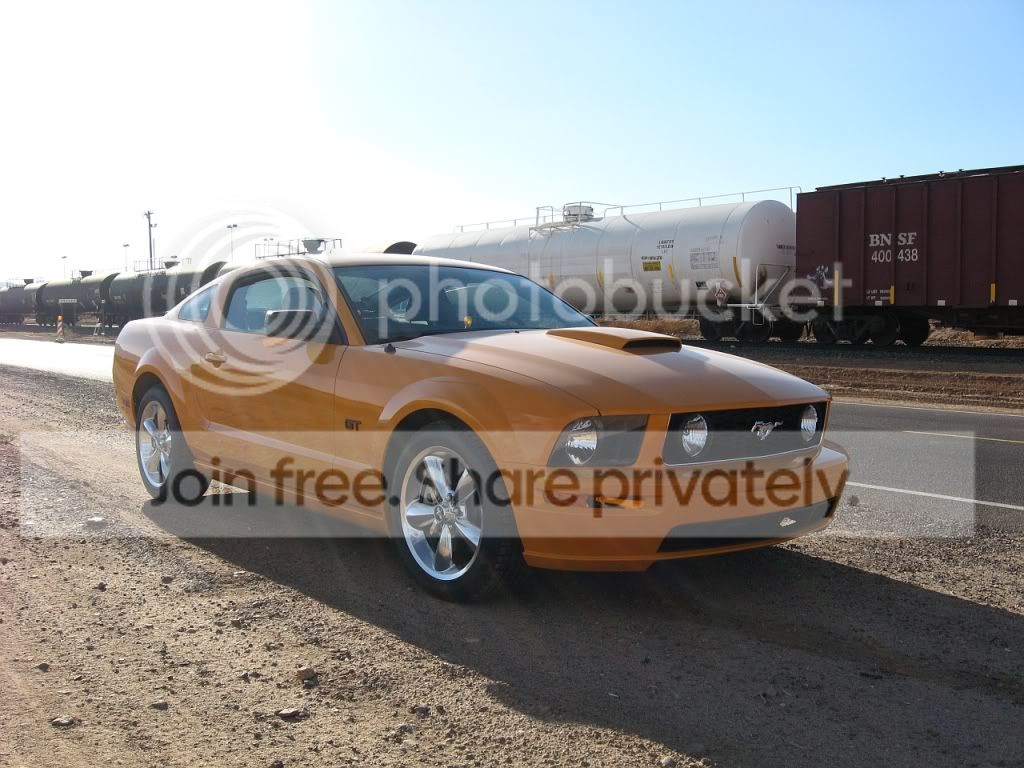 IMG_4268A.jpg