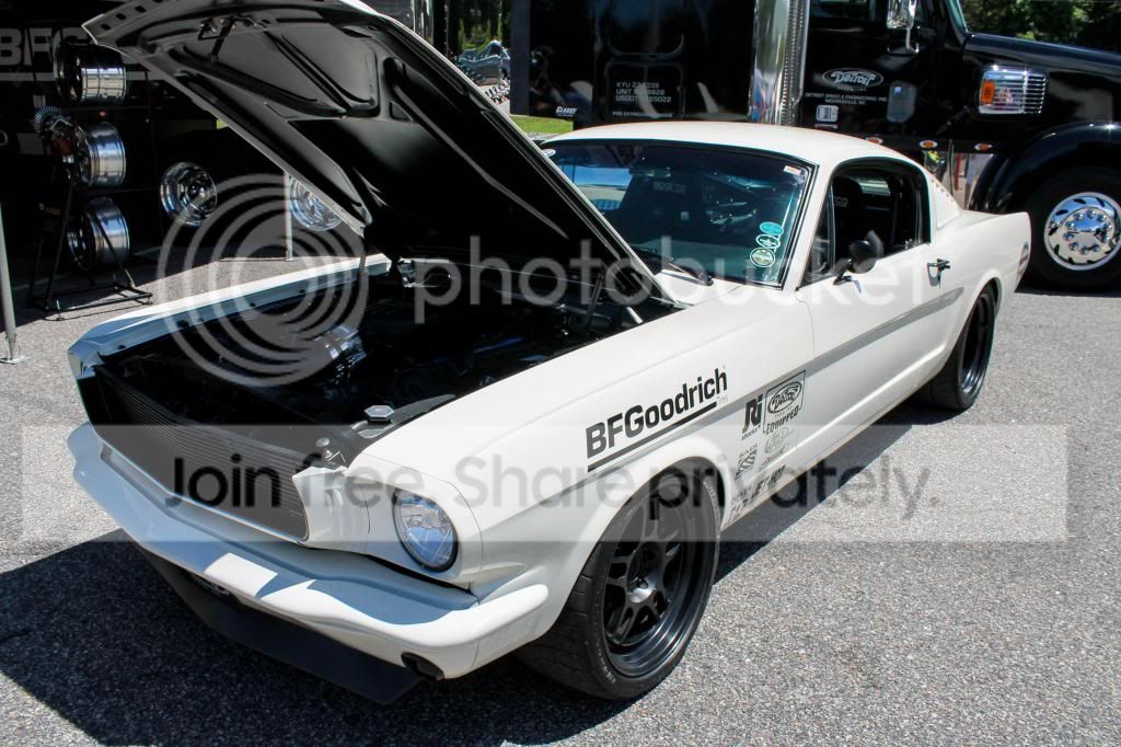IMG_1563_zps45a72bd6.jpg