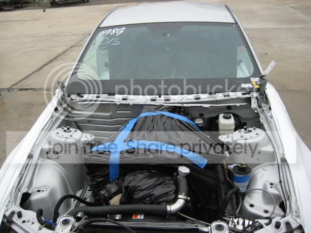 GCleanup016.jpg