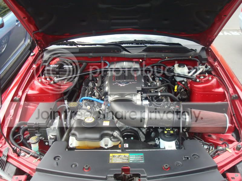 MustangGT010-1.jpg