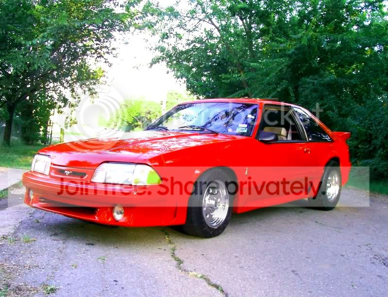 mystang003-1.jpg