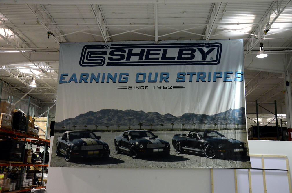 shelbymuse18.jpeg