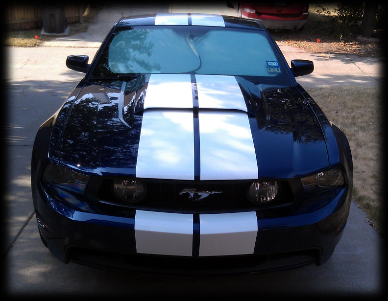 2012-a-stang2.jpeg