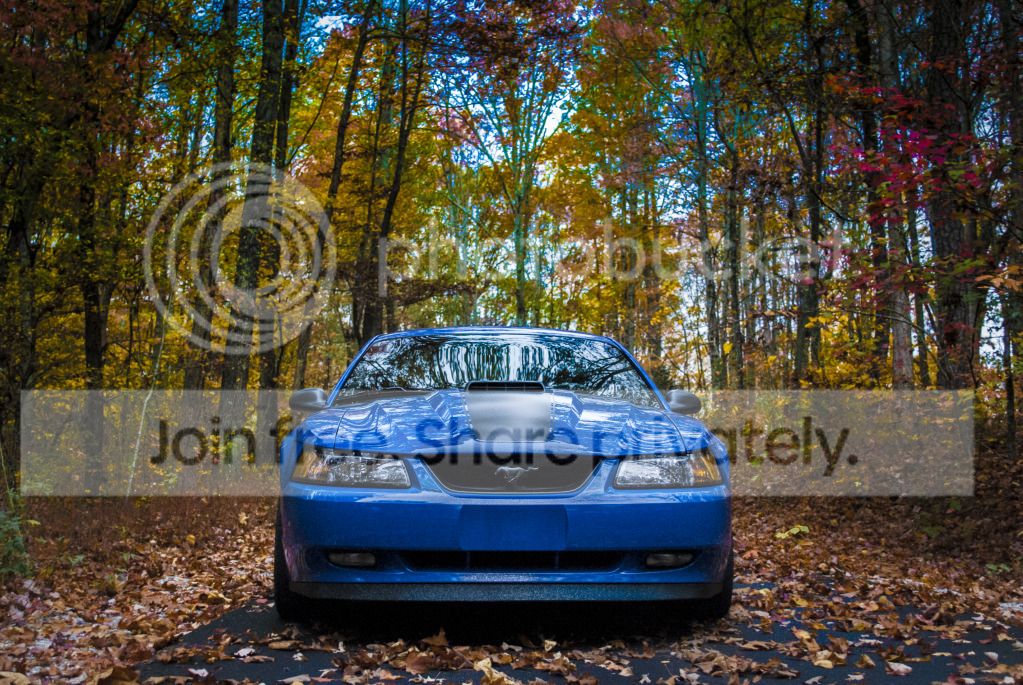 DSC_00450.jpg