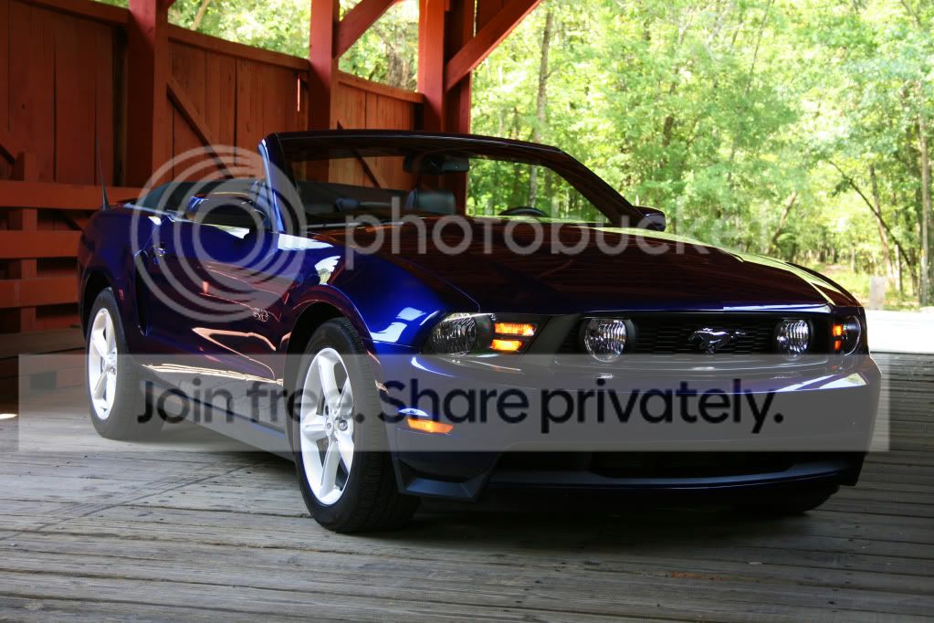 IMG_0272a.jpg