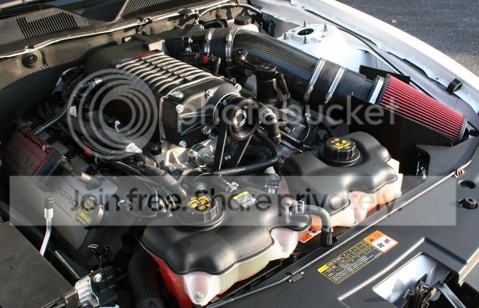 Whipple.jpg
