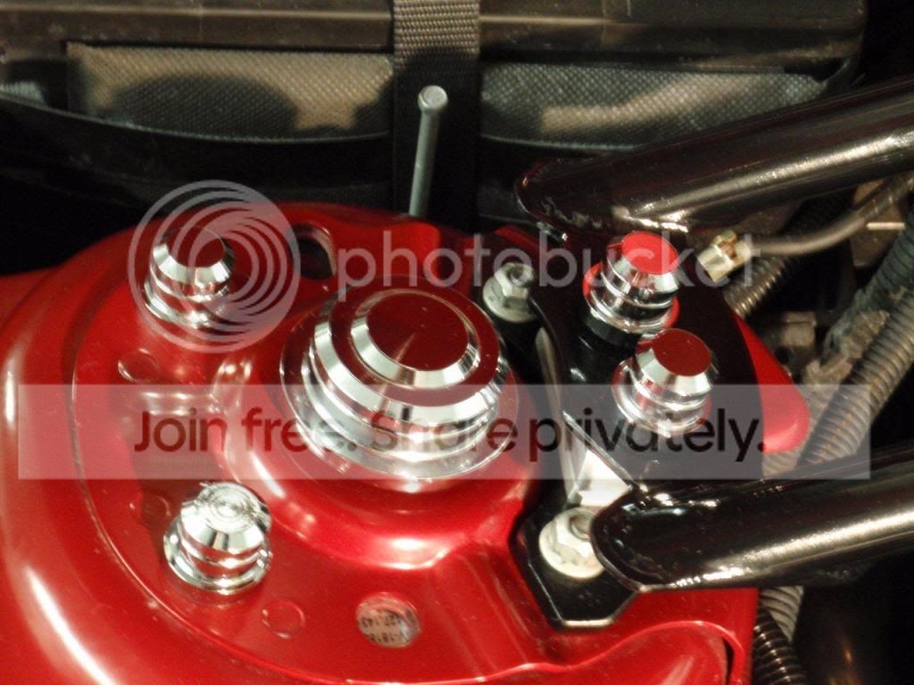 P1130020_zps21eed18f.jpg