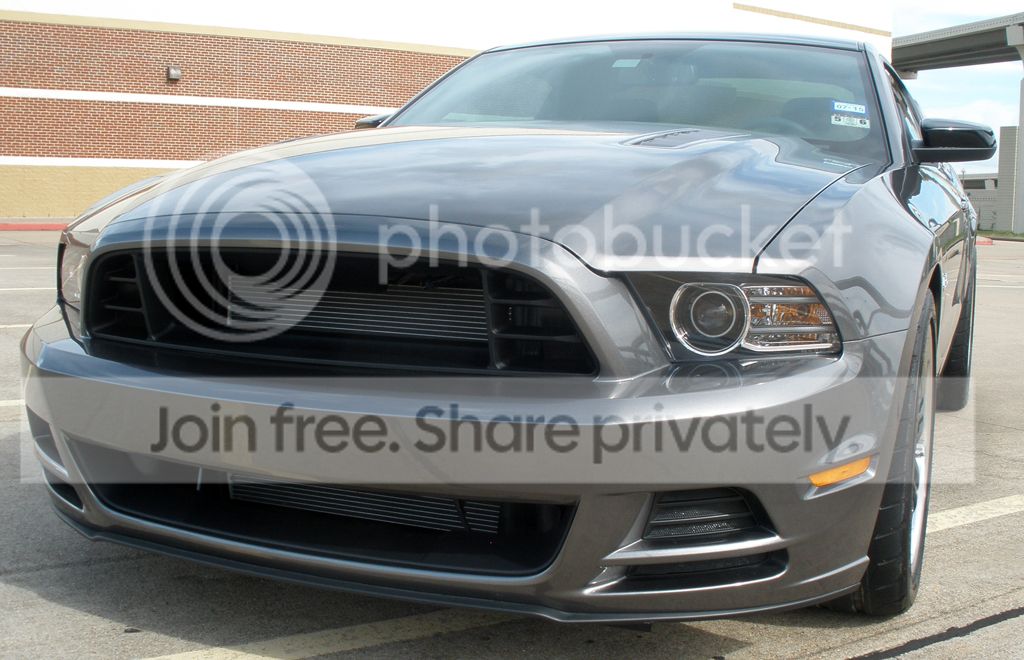 Mustang002.jpg
