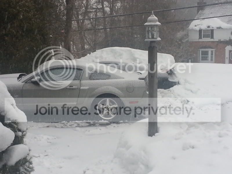 20140215_162426_zps3cc9b219.jpg