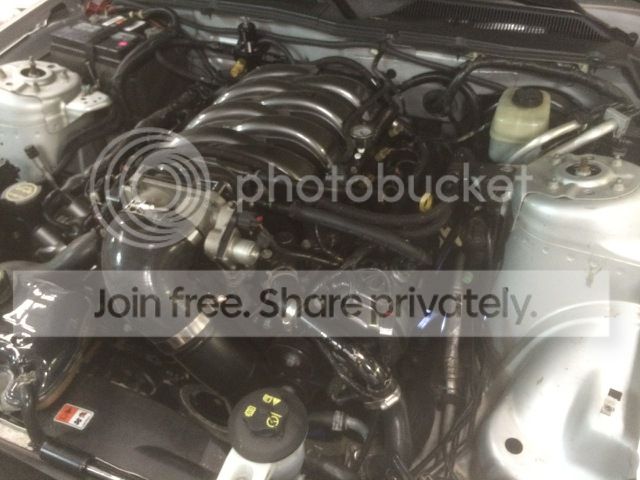 IMG_9095_zps1bnjnf6w.jpg