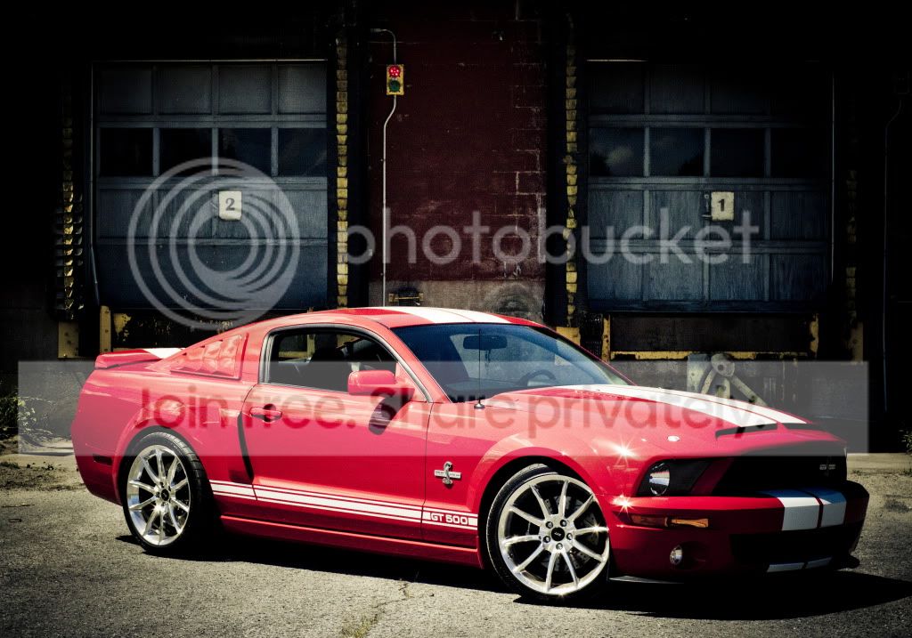 shootingphotomustang020.jpg