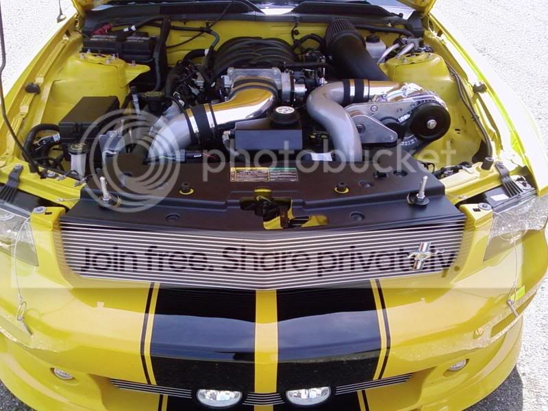 d.jpg