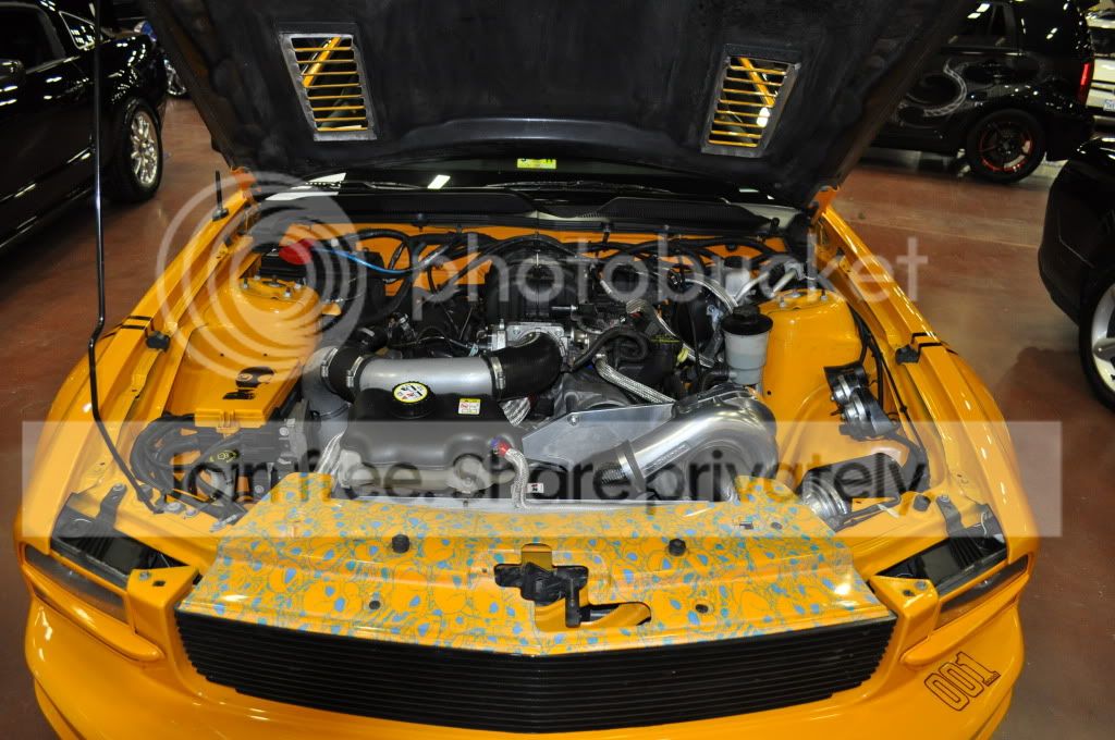 DSC_0185.jpg