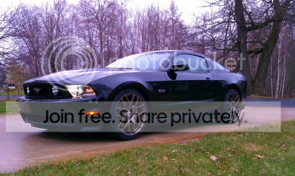 2011mustang2.jpg