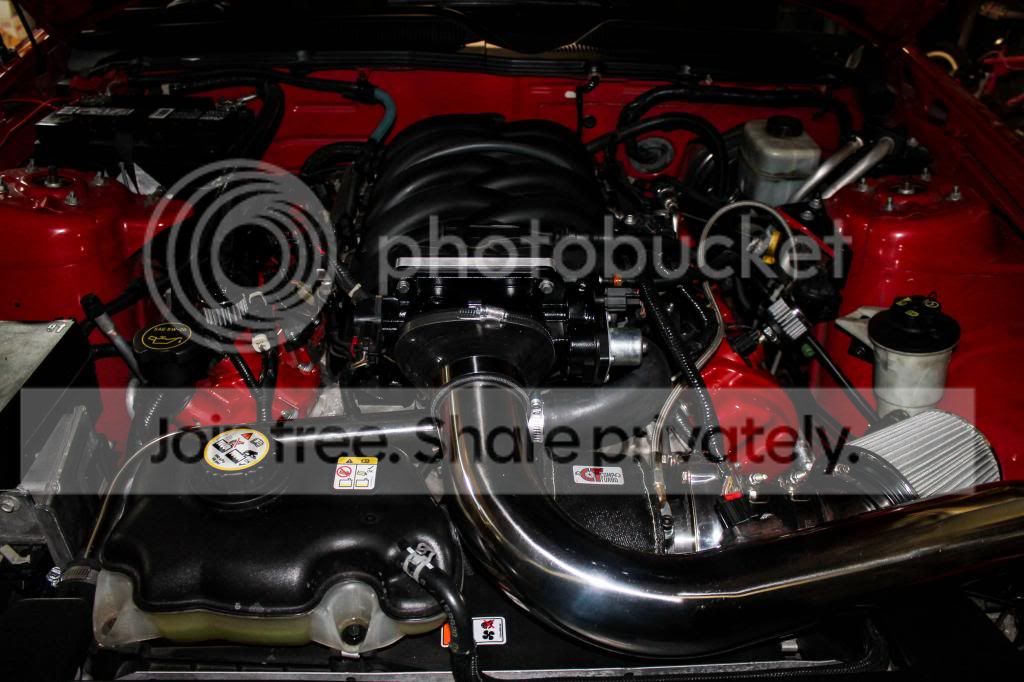 IMG_0775_zps43f904c9.jpg