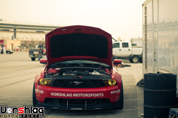 DSC2404-M.jpg