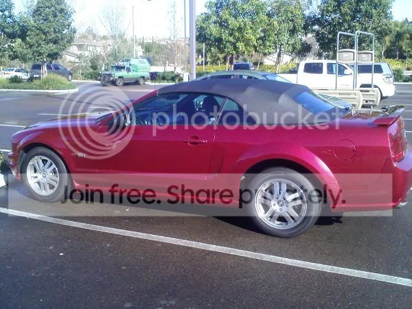 MustangGTvert.jpg
