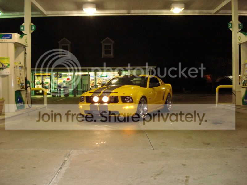 underthelights-2.jpg