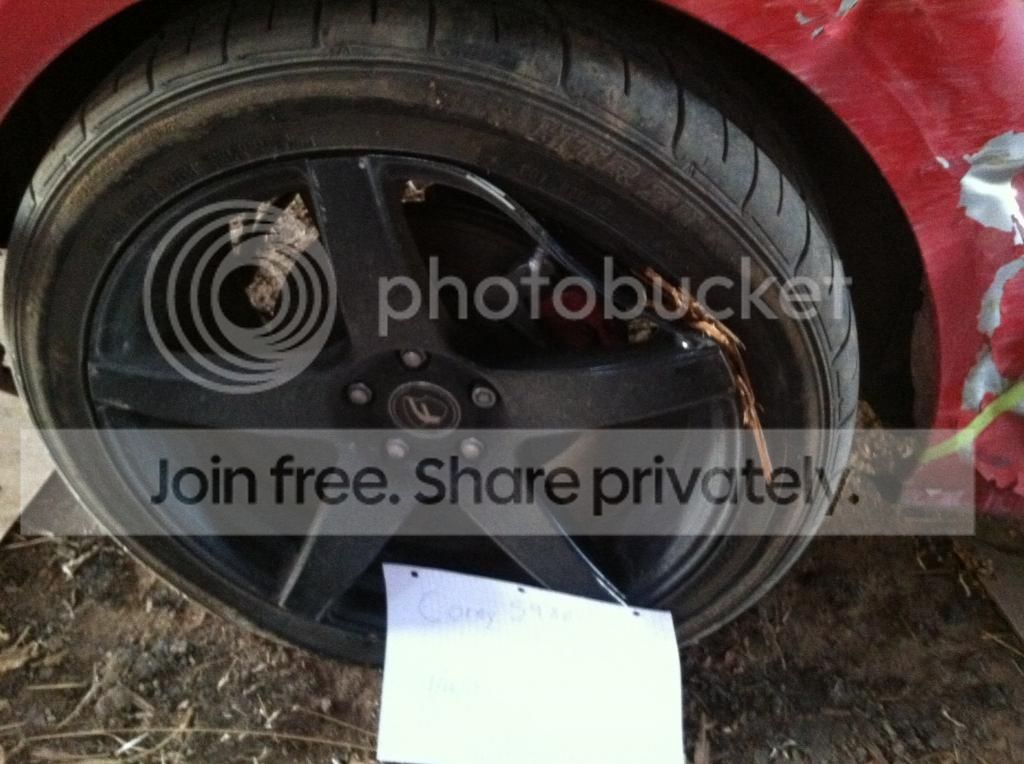 IMG_13831_zps96d753cf.jpg