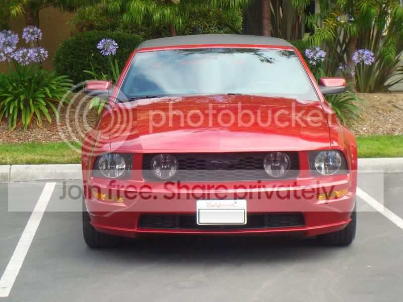 MustangGT003nolicense.jpg