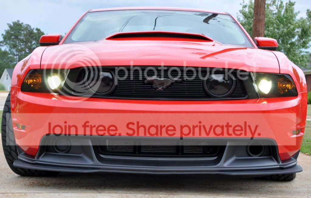 Stang005.jpg