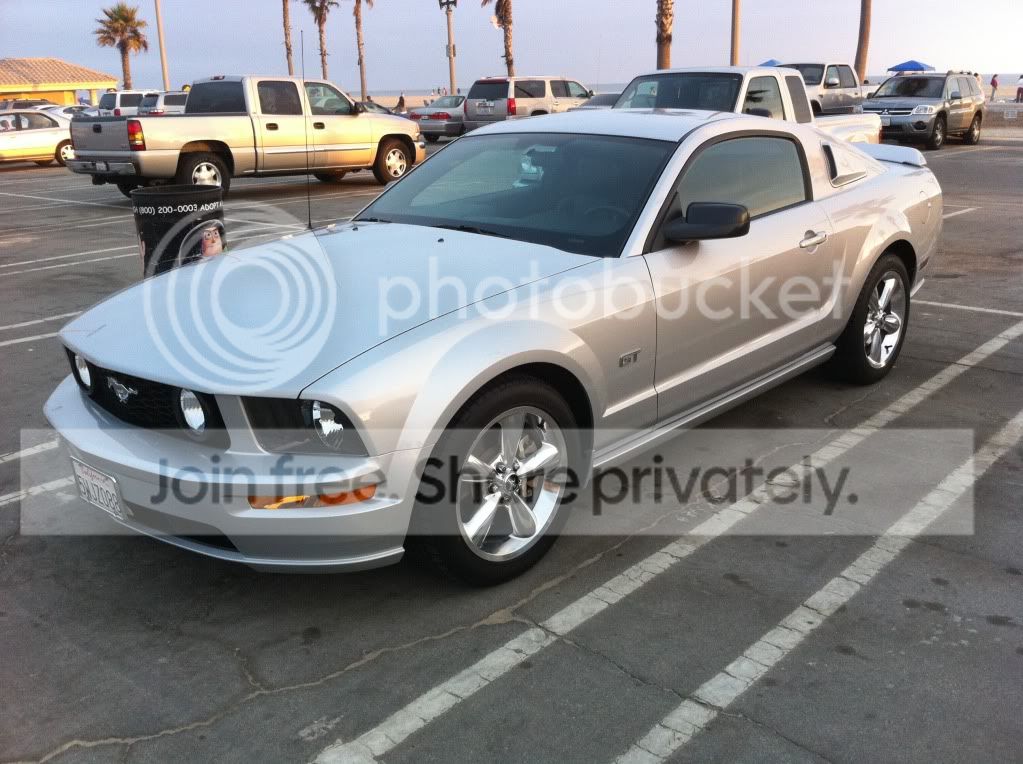 stang2.jpg