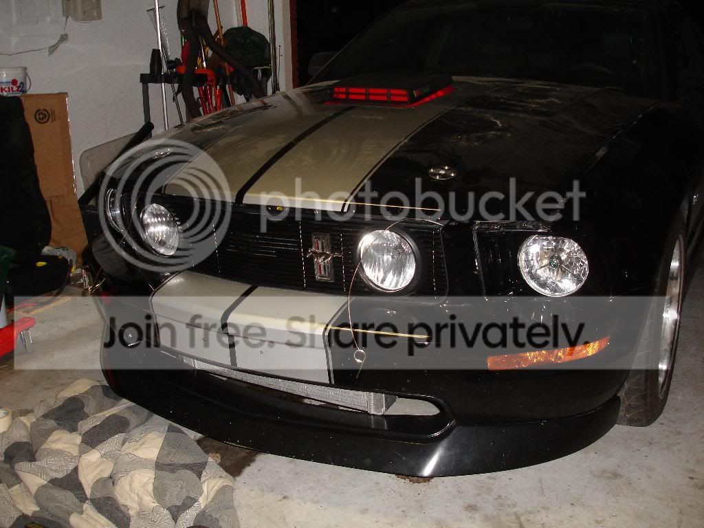 headlight19.jpg