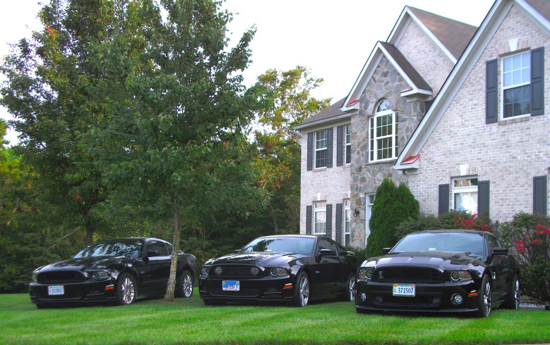 All3Mustangs-Small.jpg