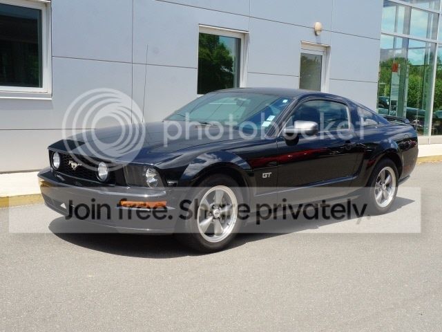mustang_zpsbogmyc0p.jpeg