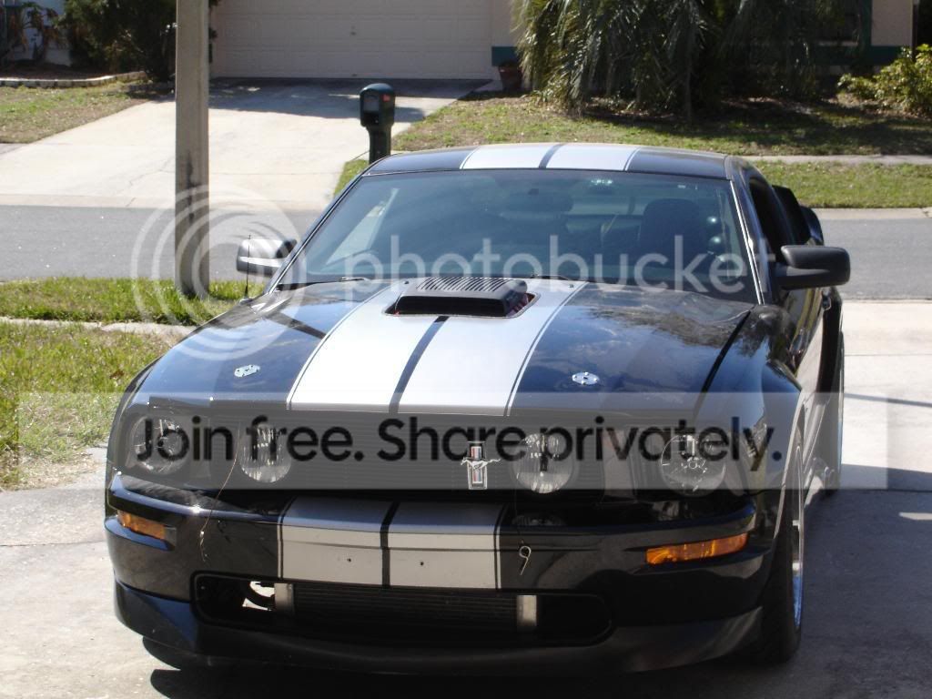 headlight24.jpg