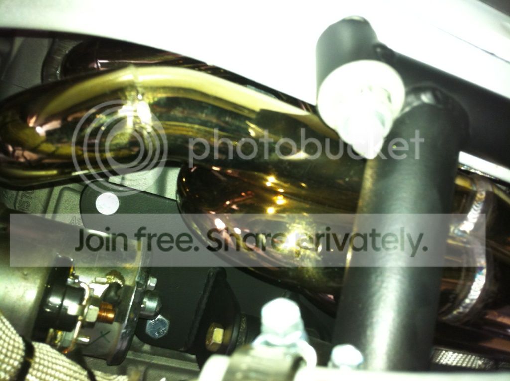 goldheaders2.jpg